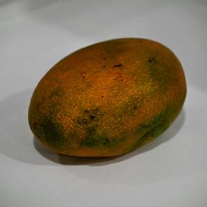 ����: �������� � �����������