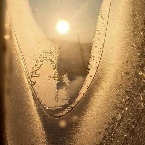 ����: �������� ����