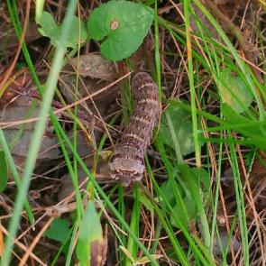 ����: � ��� ����� ��������? 