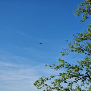 ����: ����� � �������