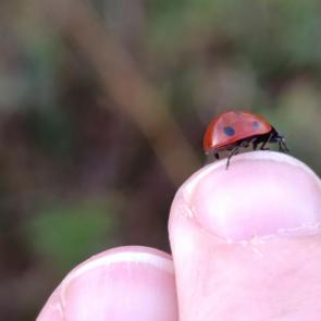 ����: �� ������ �� ������