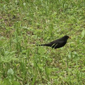 ����: �� � ������