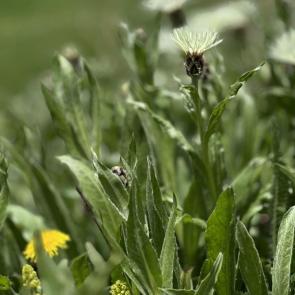 ����: ����� � �����