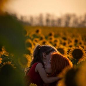 ������������ ����������