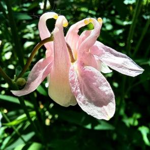 ����: ����� ������� �������