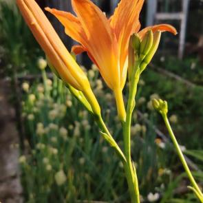 ����: �� ���� ��, � �������.. 