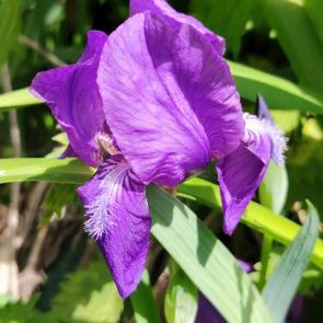 ����: ���� ������������