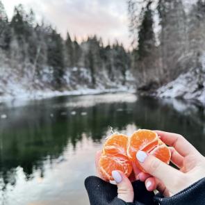 ����: ������ ������