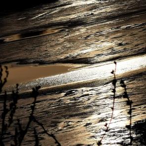 ����: � ������