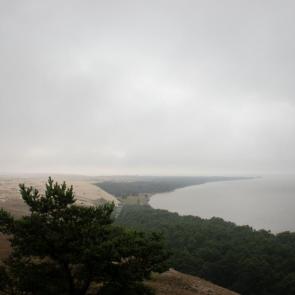 ����: �������� ����