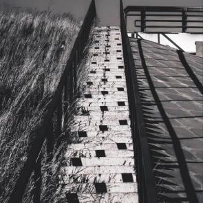 ������, �������� � ����