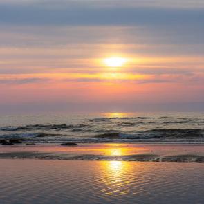 ����: �������� ���� ��������� ������