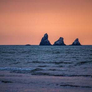 ���������� ���������������