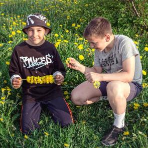 ����: ������ �� �����������