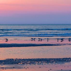 ����: �����-���������� 