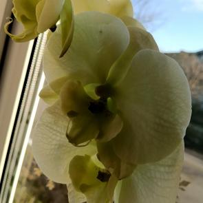 ���� ��������: ������� 