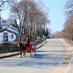 ����: �������� ��������