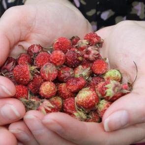 ����: ����������!