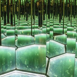 ����: � ������ � ��������...