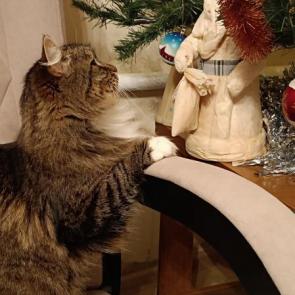 ����: �� ���� ���� �������, ��� �����... 