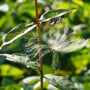 ���������� ���������������