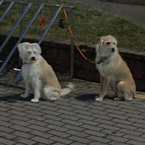 ����: � �������� 