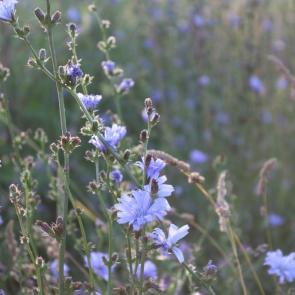 ����: ������� ������ �������