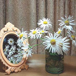 ����: ����  ���,   ���������,  �����...