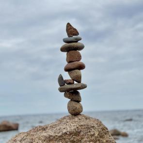 ����: ����������