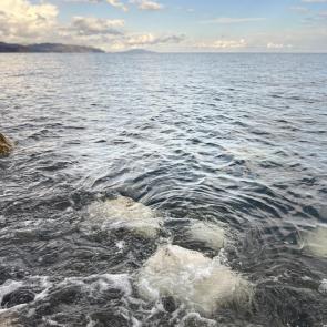 ����: �, ����, ����