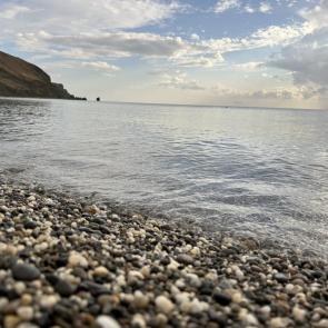 ����: �����