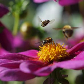 ����: ��������...