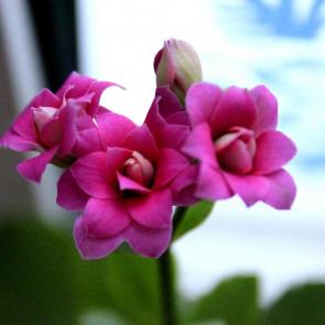 ������� � �����