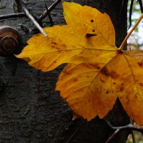 ����: ������� �� ������