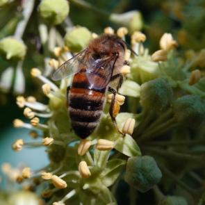 ����: ��� ���-�� �����! 