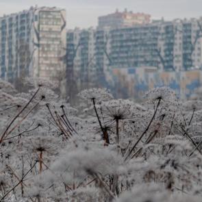 ������ � ���������