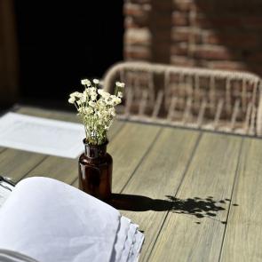 ����: ����� �������