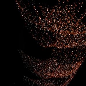 ��������� ����������� ���������