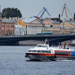 ����: ������. 