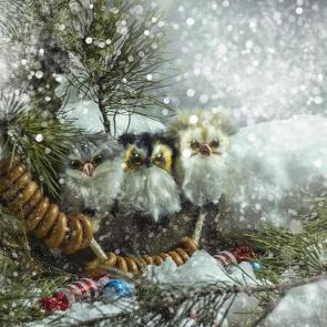 ������ �������������