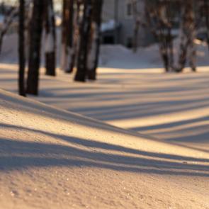 ���������� ���������������