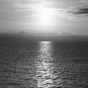 ����: �������