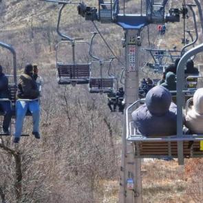 ����: �������