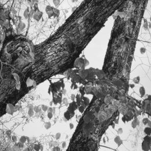 ����: ����� � �������