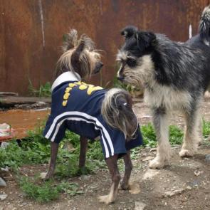 ����: ����...