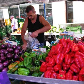 ����: �������� ������