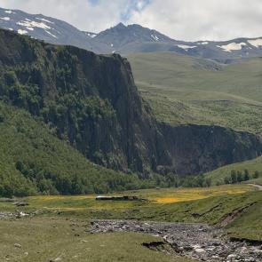 ����: ������� ���