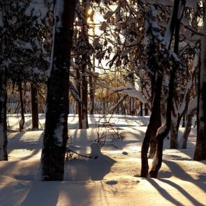 ����: ���� ������ ���