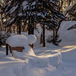 ����: � ������� ��������