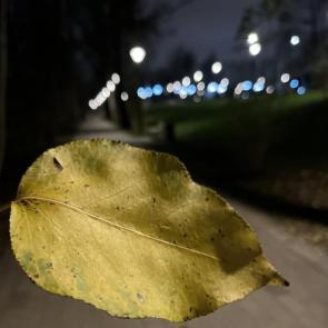 ����: ����������� 